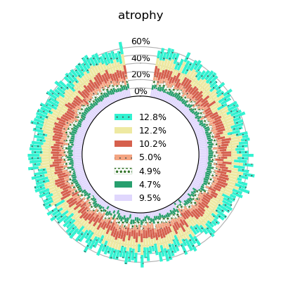 _images/sphx_glr_plot_adni_lmg_polar_bars_002.png